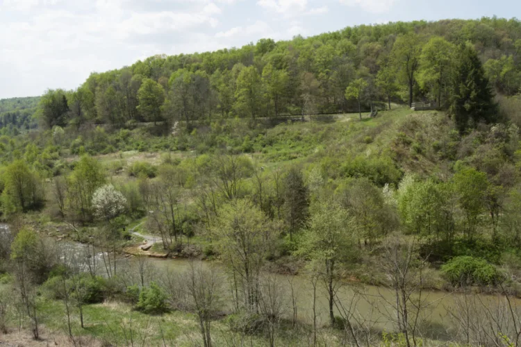 State Supreme Court rules warrantless searches by Pa.  game officials are  unconstitutional